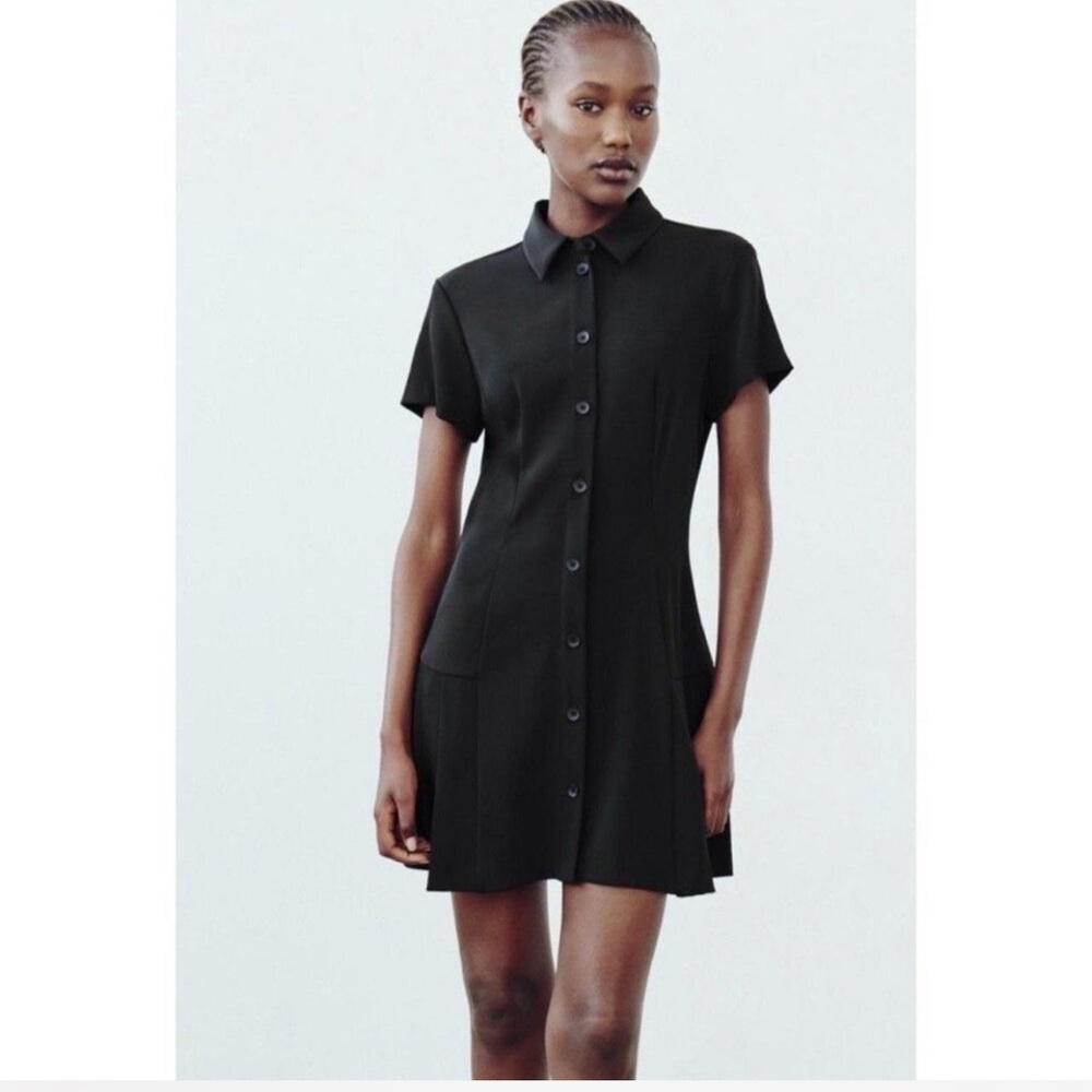 Zara Pleated Shirt Dress